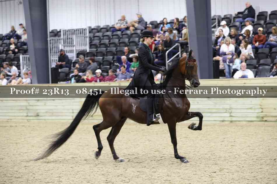 Proof Number 23R13_08451