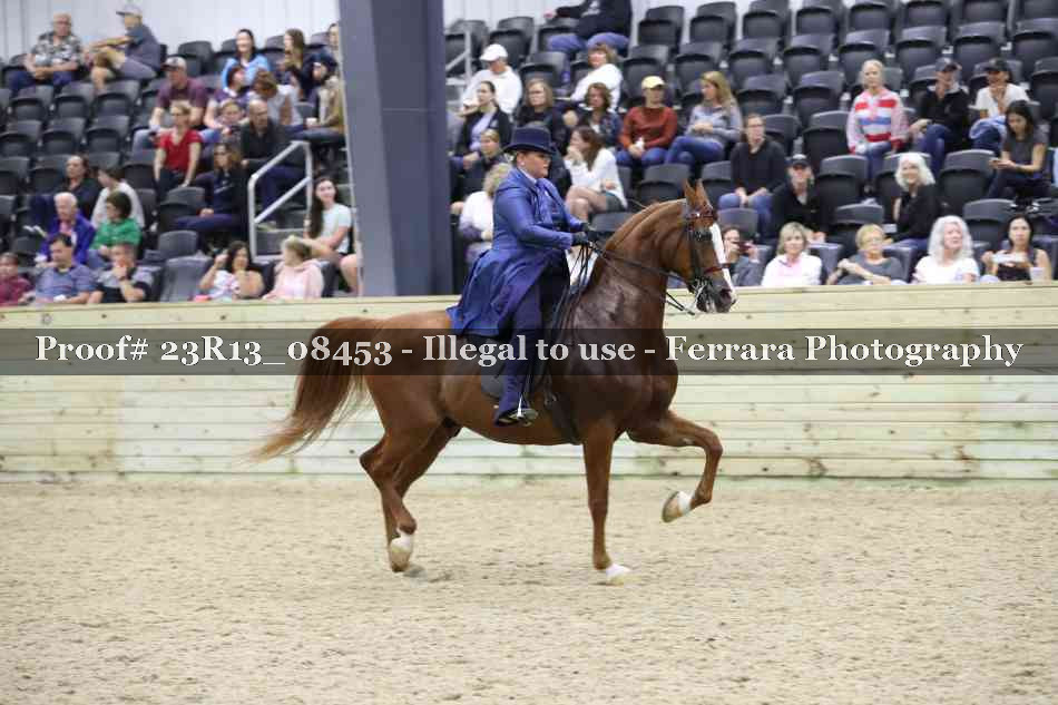 Proof Number 23R13_08453