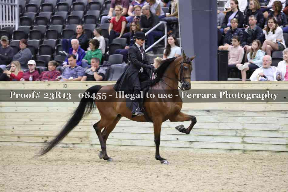 Proof Number 23R13_08455