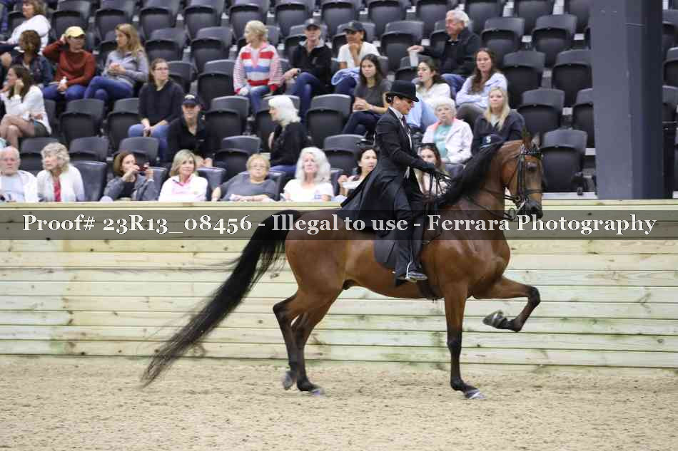 Proof Number 23R13_08456
