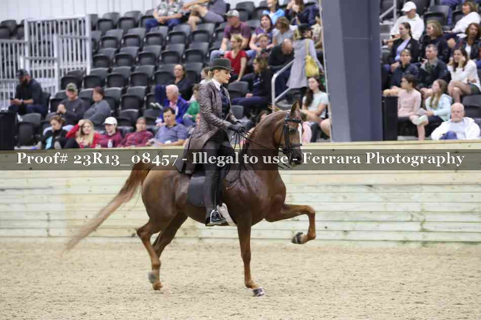 Proof Number 23R13_08457