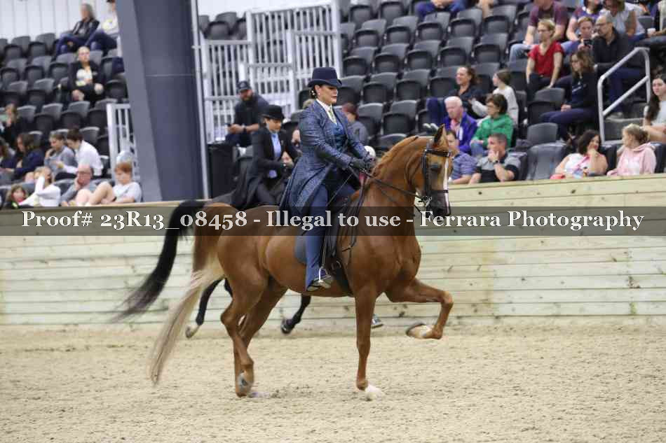 Proof Number 23R13_08458