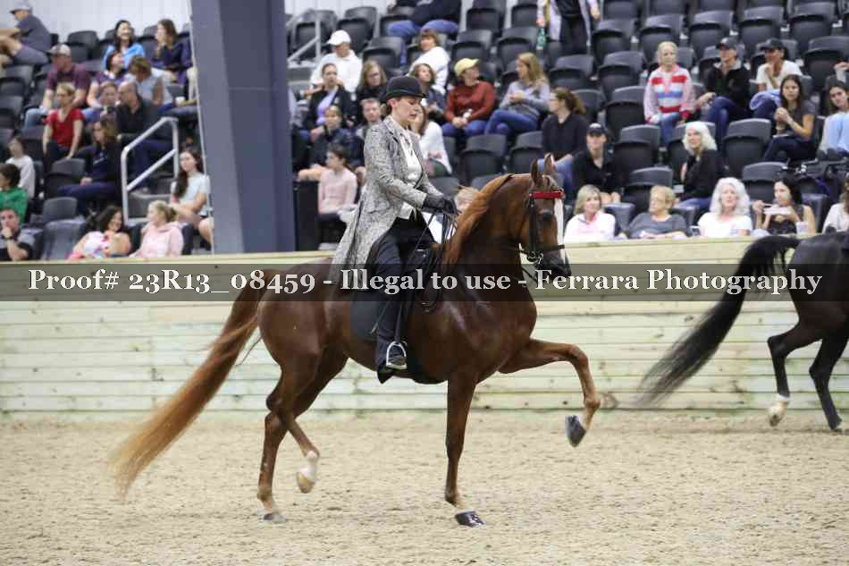 Proof Number 23R13_08459