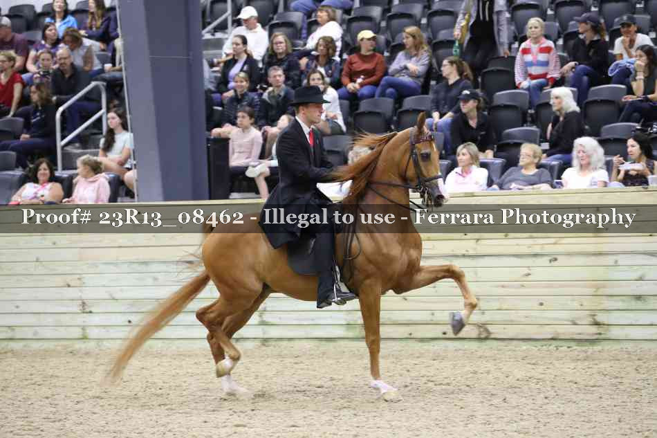 Proof Number 23R13_08462
