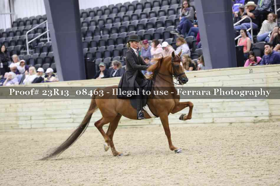 Proof Number 23R13_08463