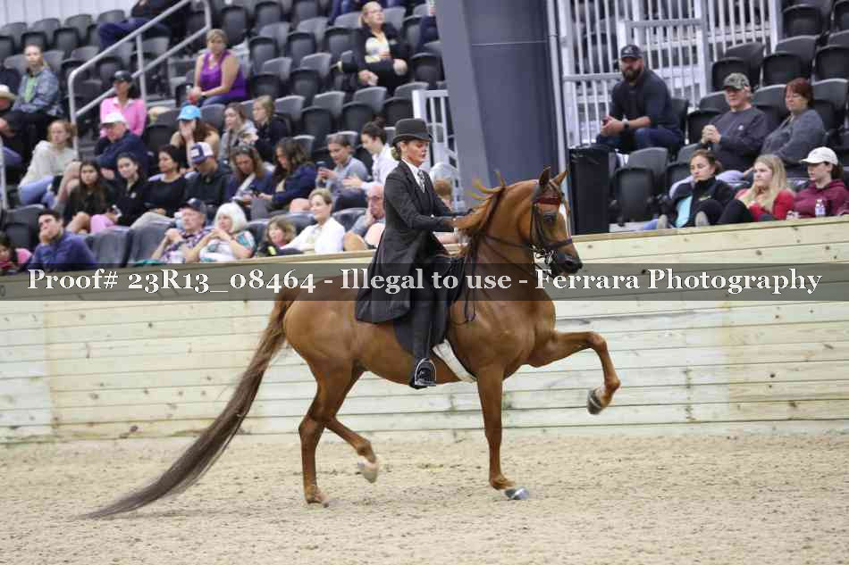 Proof Number 23R13_08464