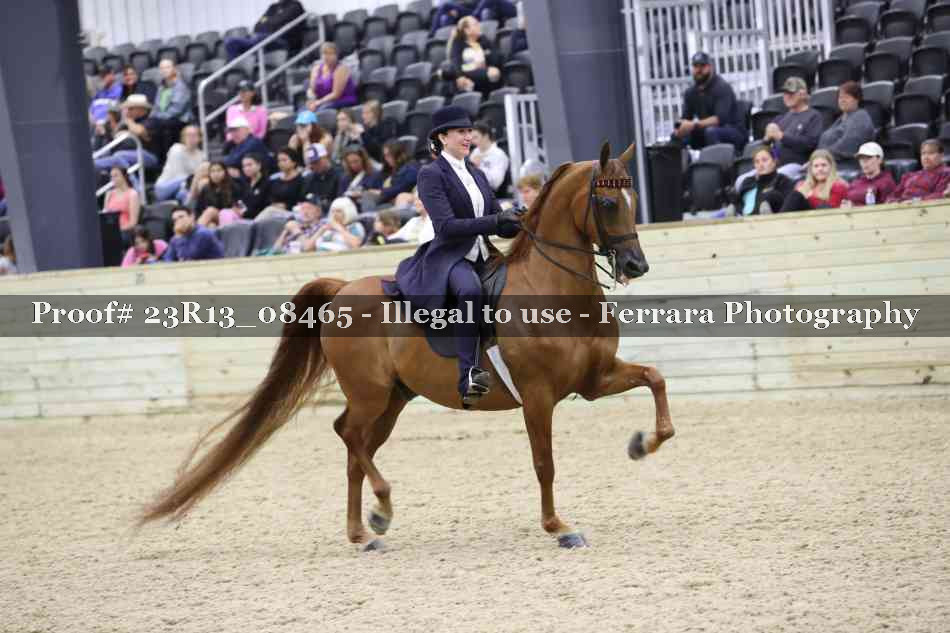 Proof Number 23R13_08465