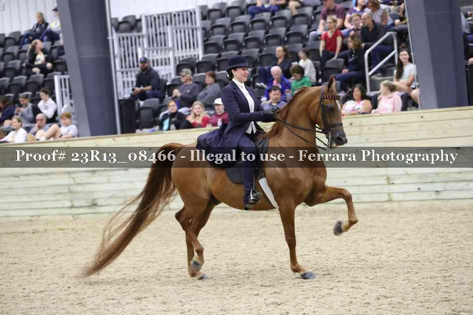 Proof Number 23R13_08466