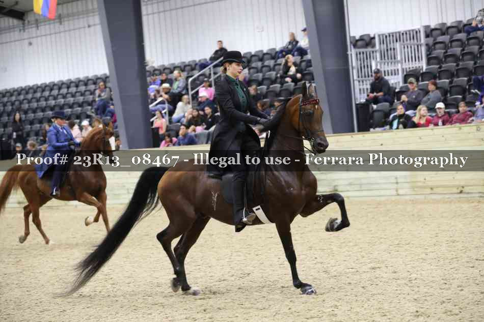 Proof Number 23R13_08467
