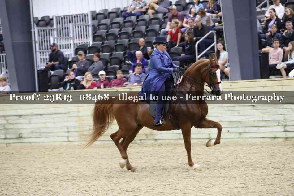 Proof Number 23R13_08468