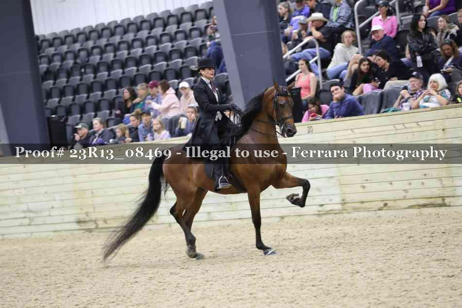 Proof Number 23R13_08469