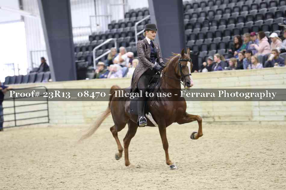 Proof Number 23R13_08470