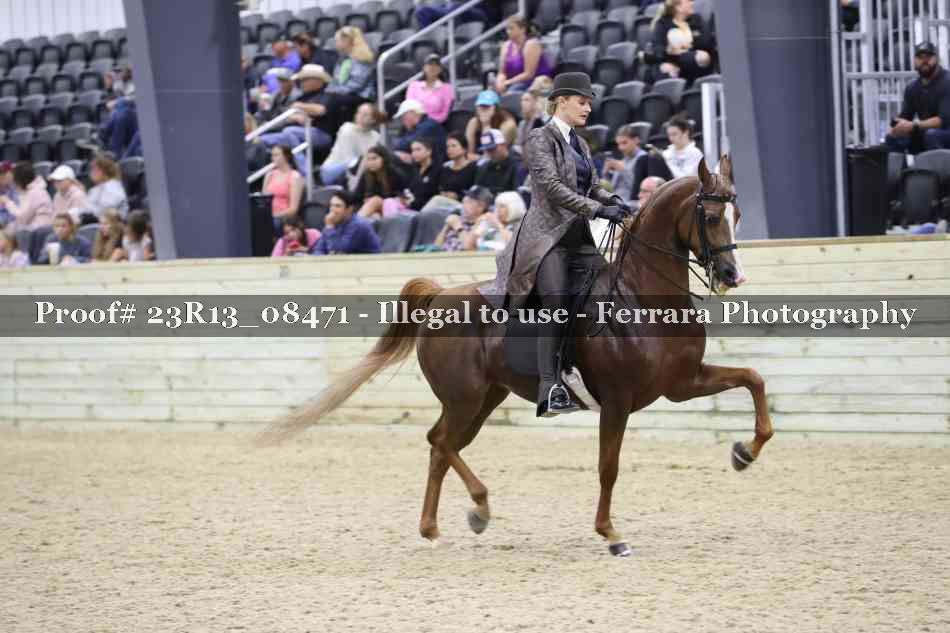 Proof Number 23R13_08471