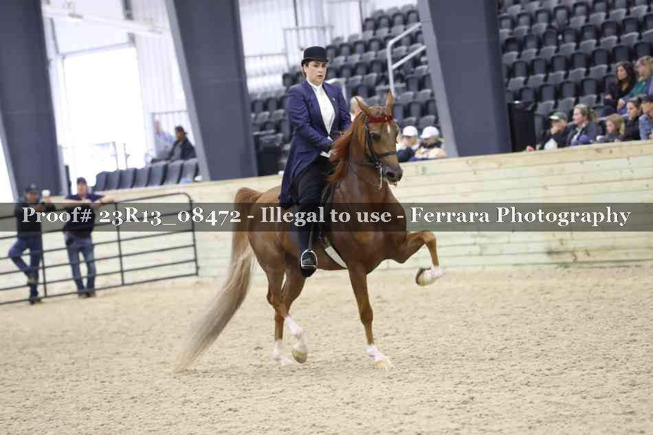 Proof Number 23R13_08472