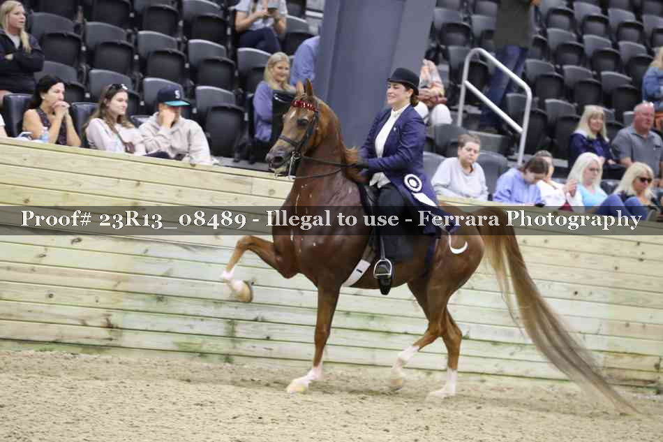 Proof Number 23R13_08489