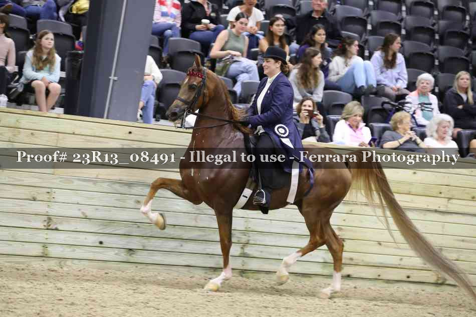 Proof Number 23R13_08491