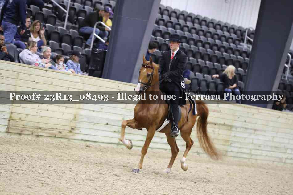 Proof Number 23R13_08493