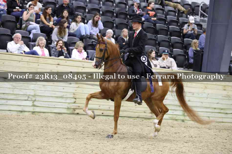 Proof Number 23R13_08495