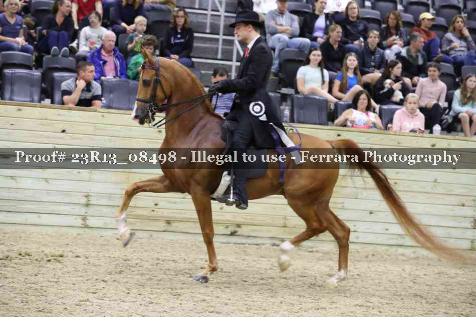 Proof Number 23R13_08498