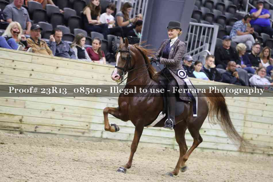 Proof Number 23R13_08500