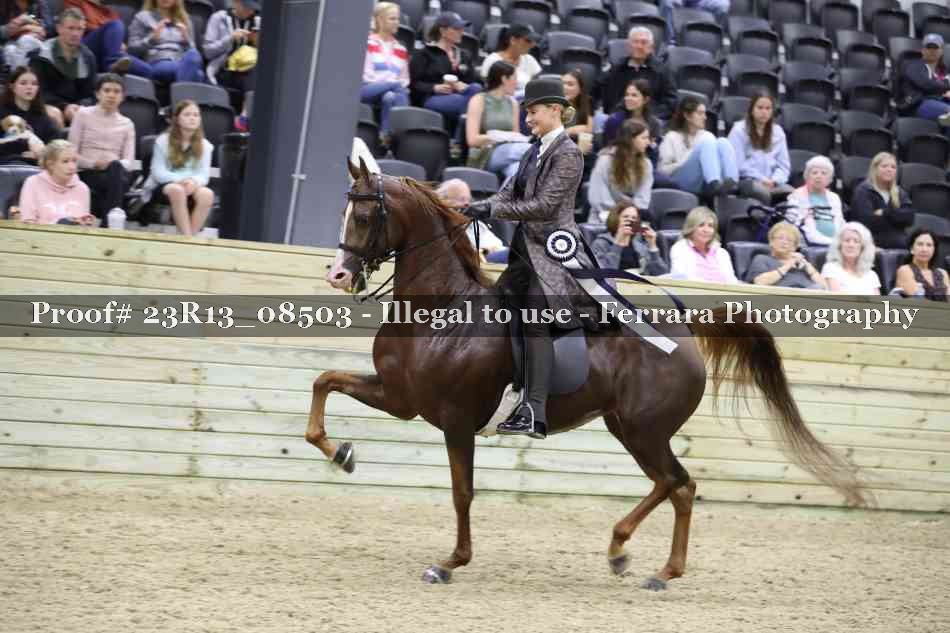 Proof Number 23R13_08503