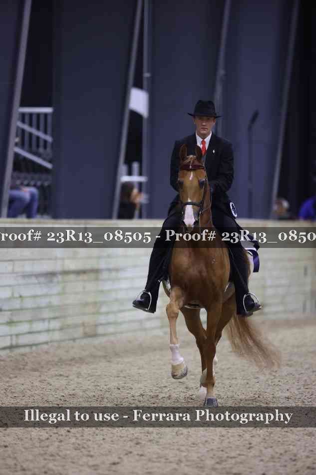Proof Number 23R13_08505