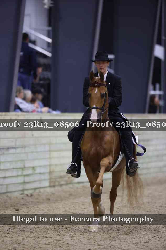 Proof Number 23R13_08506