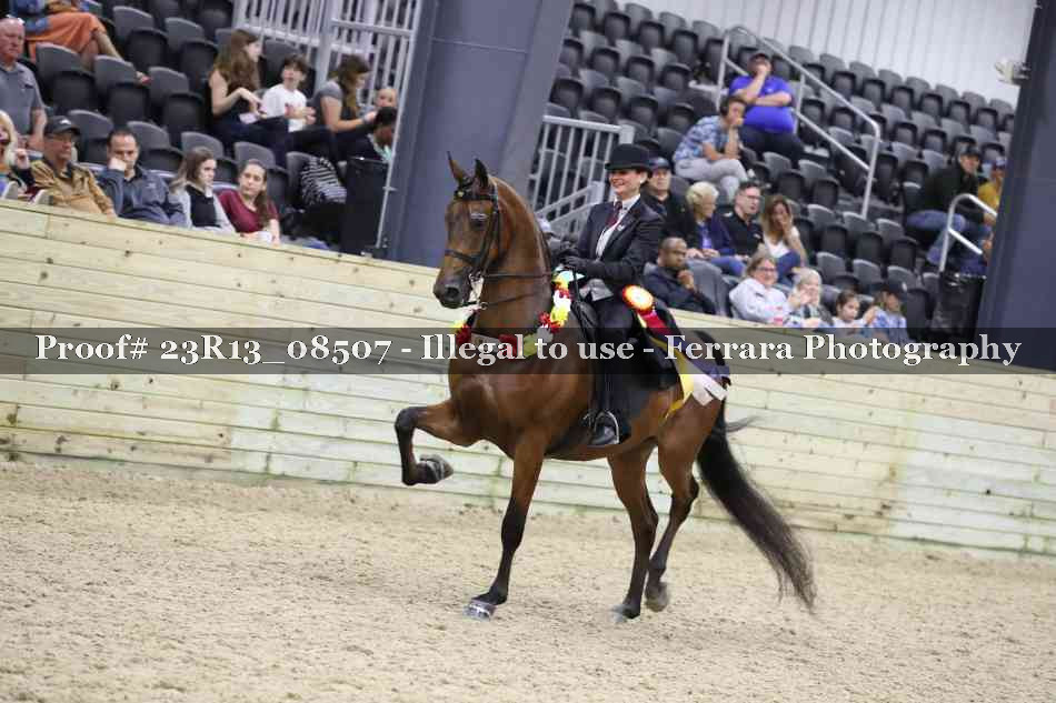 Proof Number 23R13_08507