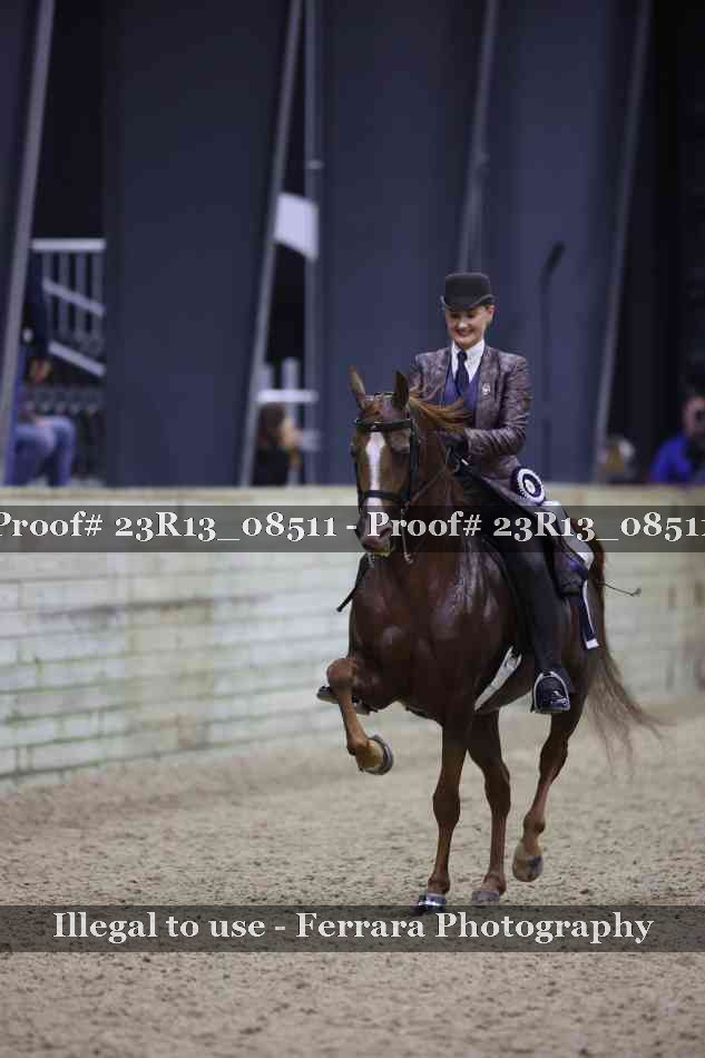 Proof Number 23R13_08511