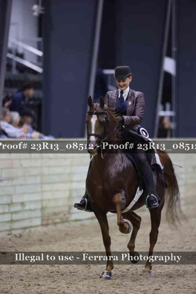 Proof Number 23R13_08512