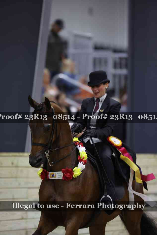 Proof Number 23R13_08514