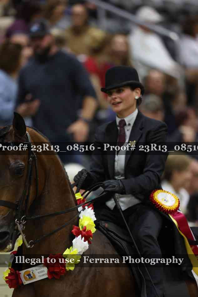 Proof Number 23R13_08516