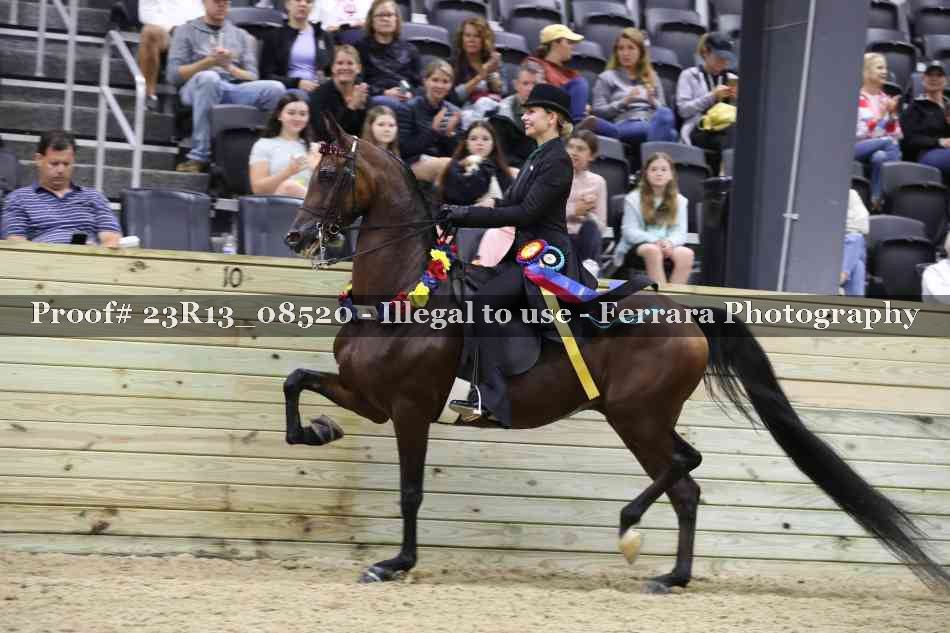 Proof Number 23R13_08520