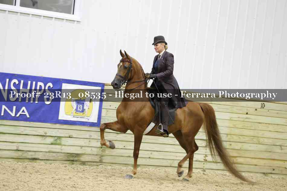 Proof Number 23R13_08535