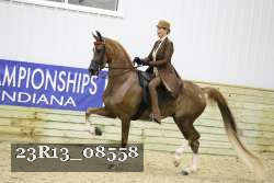 23R13_08558 thumbnail
