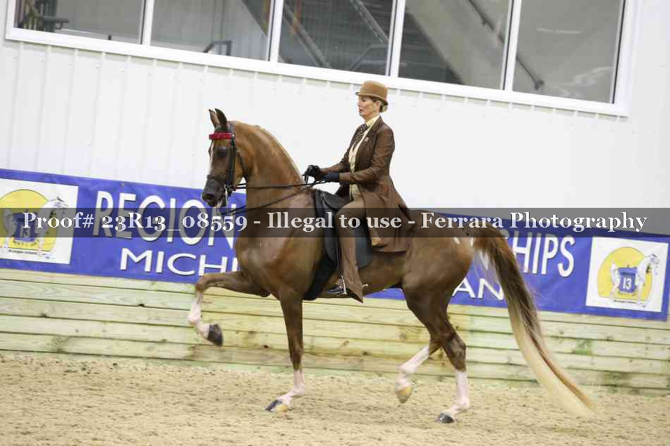 Proof Number 23R13_08559