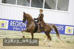 23R13_08559 thumbnail