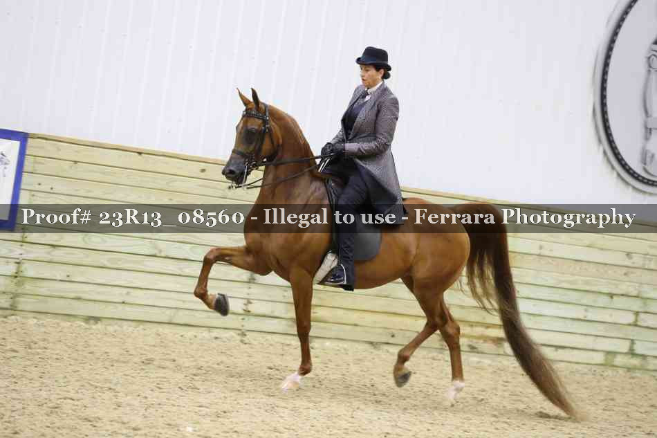 Proof Number 23R13_08560