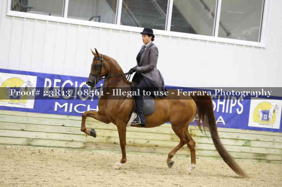 Proof Number 23R13_08561