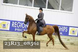 23R13_08561 thumbnail