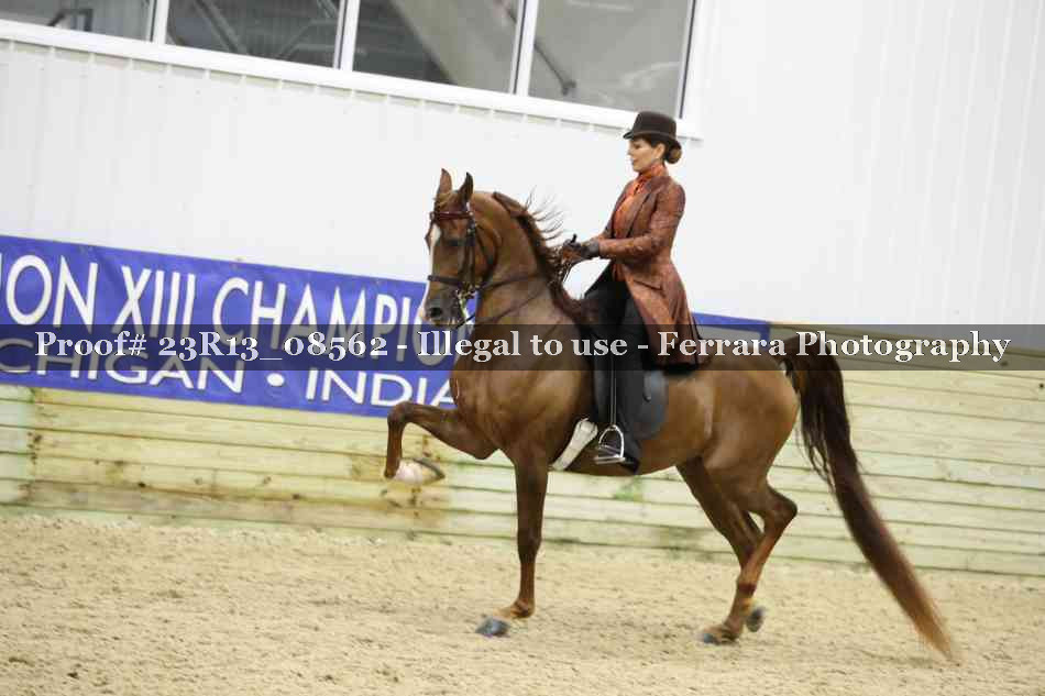 Proof Number 23R13_08562