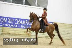 23R13_08562 thumbnail