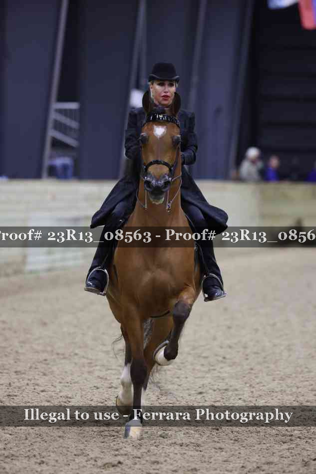 Proof Number 23R13_08563