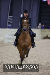 23R13_08563 thumbnail
