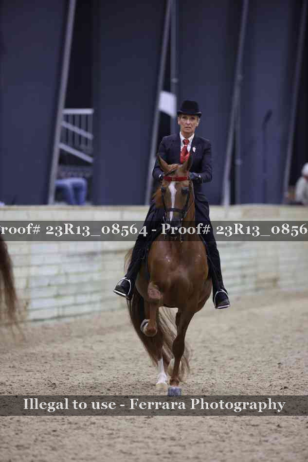 Proof Number 23R13_08564