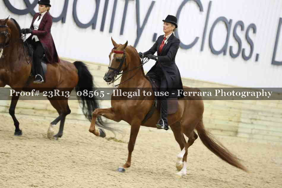 Proof Number 23R13_08565