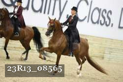 23R13_08565 thumbnail