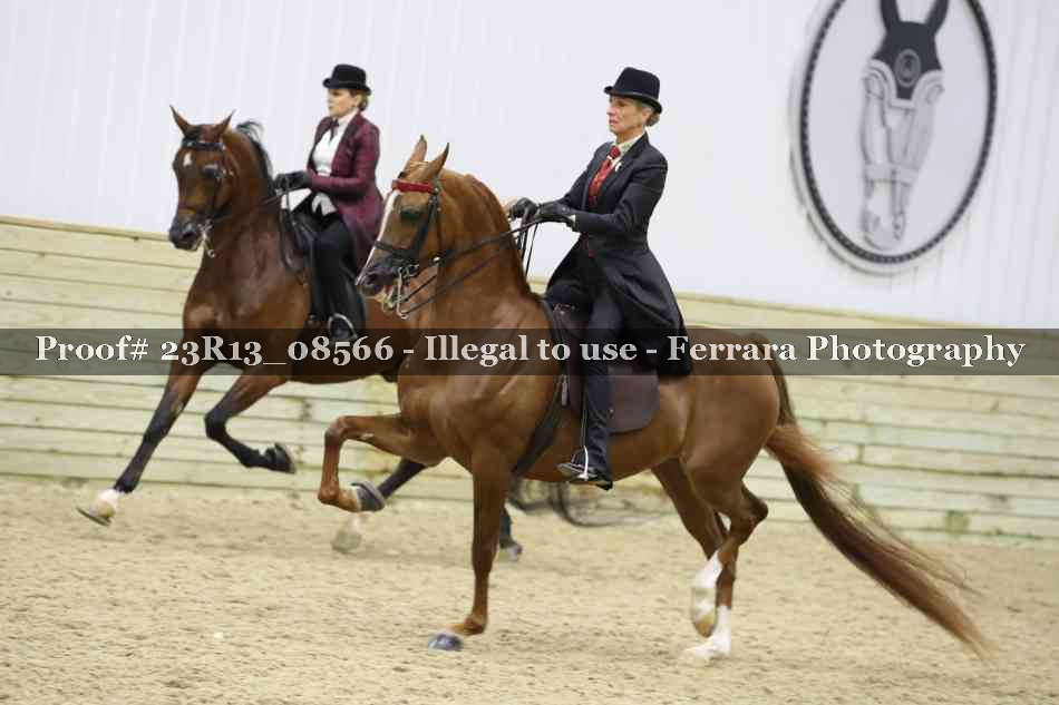 Proof Number 23R13_08566