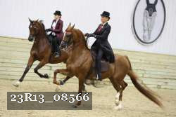 23R13_08566 thumbnail