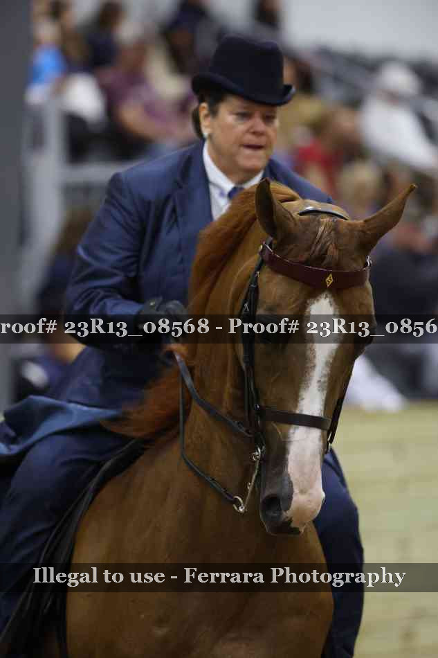 Proof Number 23R13_08568